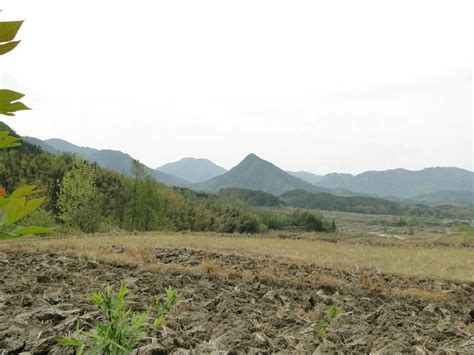 龙吐珠风水